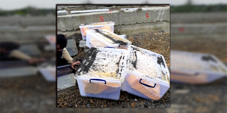 Cenazeler için duyarlılık çağrısı: Logar hatlarının geçtiği yerde bekletiliyorlar