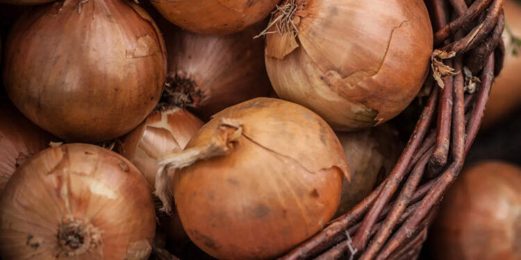 2022’nin zam şampiyonu kuru soğan oldu