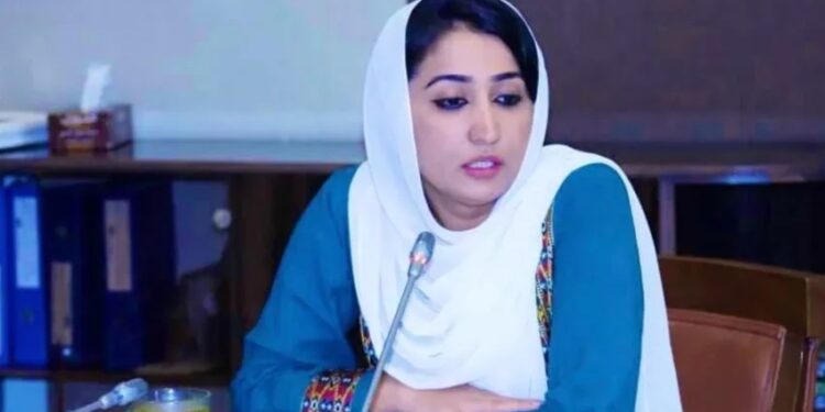 Taliban’a rağmen ülkeyi terk etmemişti: Eski milletvekili Nebizade katledildi