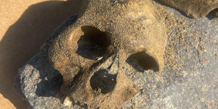 Zilan’da bulunan kemikler: Yüzlerce kemik ulus orta savcılığı bekliyor