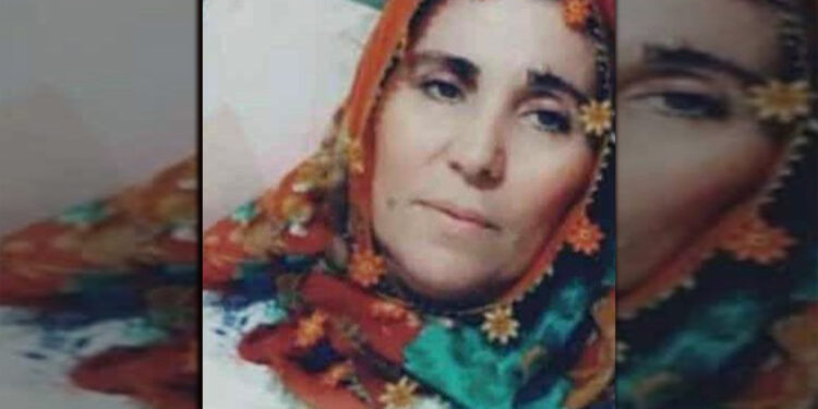 Anne Aydın, Mîr Perwer’in yanına defnedildi