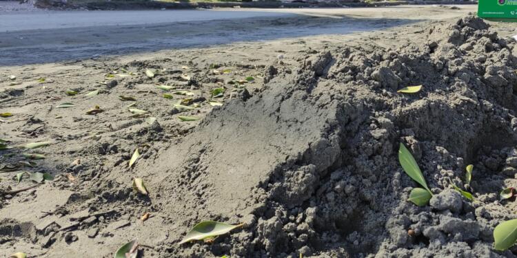 İskenderun’da sitrik kil yüzeye çıktı