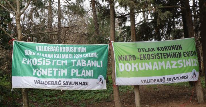 Şırnak’tan Kaz Dağları’na mücadele sürecek