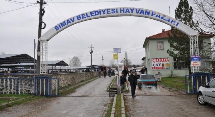 Kütahya’da şap hastalığı