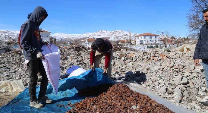 Bu da deprem kurnazlığı: Enkaz altında kalan kayısıyı ucuza almak istiyorlar