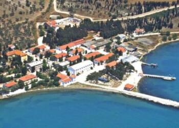 Several Ballıkaya: Çıkış yolu İmralı