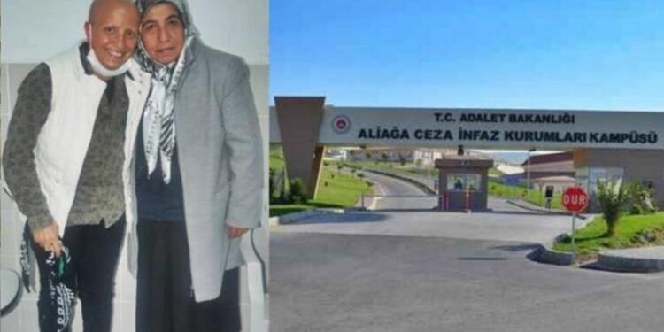 Ölmesini mi bekliyorsunuz?