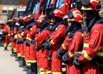 Avusturya ve Alman ekipleri arama kurtarma çalışmalarını durdurdu