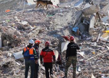 Deprem bölgesinde 294 bin 165 binaya imar affı verildi