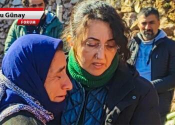 Fay hatlarının sarsıcı sorusu; Nerde bu devlet?