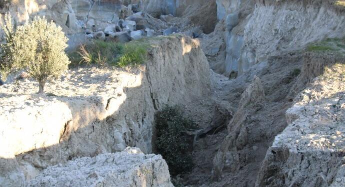 Ermence Mahallesi’nde yer yarıldı, zeytin ağaçlarını yuttu