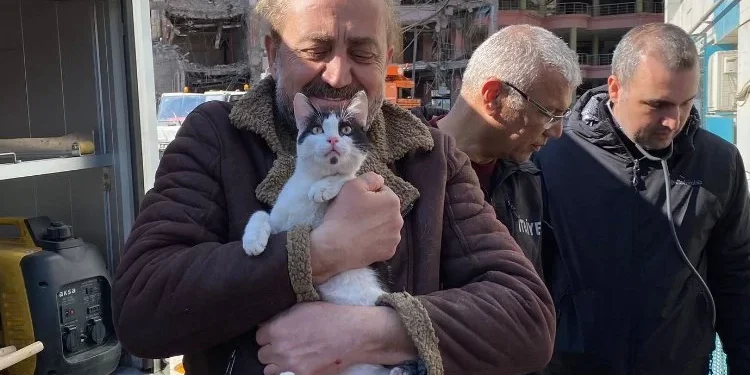 Galeria’da mücadele sonuç verdi: 13 kedi kurtarıldı