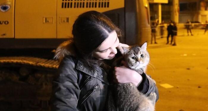 Galeria’dan 6 kedi kurtarıldı, Jahren aranıyor