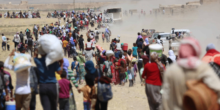 231 Êzidî Şengal’e geri döndü