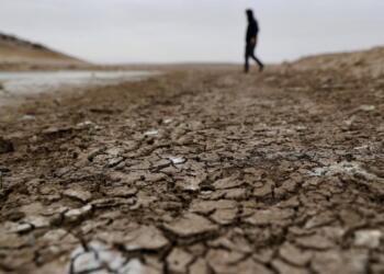 Depremin ardından ‘tarım depremi’!