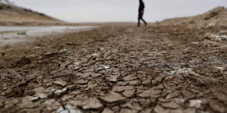 Depremin ardından ‘tarım depremi’!