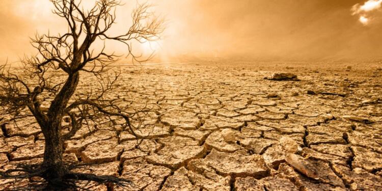 Kuraklık büyük bir tehdit