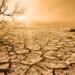 Kuraklık büyük bir tehdit