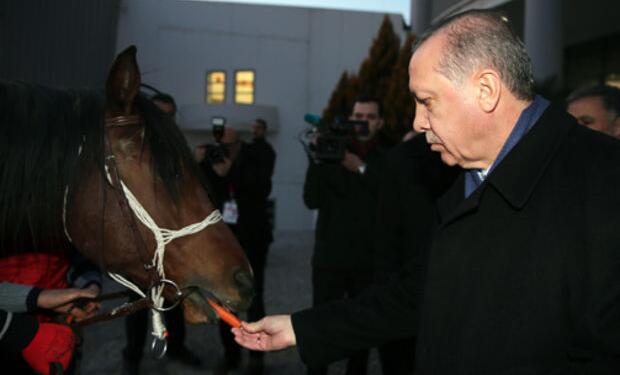 Cumhurbaşkanlığı at aldı: Özgür Özel kaç liraya alındığını sordu