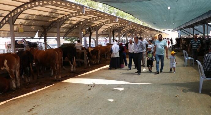Şap hastalığı yayılıyor: Bir hayvan pazarı daha kapatıldı