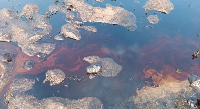 Batman çayına petrol karışmasına tepki: Hesap vermeliler