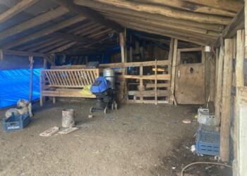 Ahırda kalan kanser hastası depremzede enfeksiyondan öldü