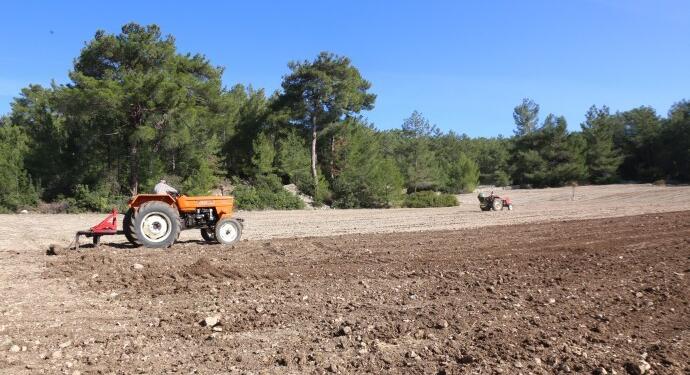 Yağış rejimi bozuldu, çiftçi ürün değişikliğine gidiyor