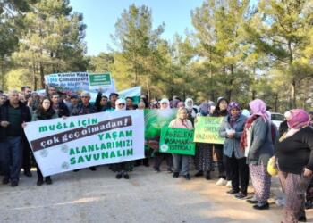 Yaşam savunucularından ‘tek liste’ çağrısı