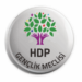 HDP Gençlik Meclis’i: ‘HDP Gençlik Teşkilatı’ diye bir hesabımız yok