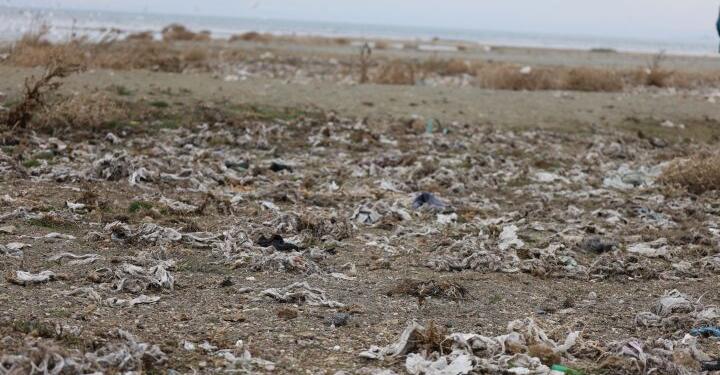 Wan Gölü için tehlike çanları: Metrelerce küp kanalizasyon akıtılıyor