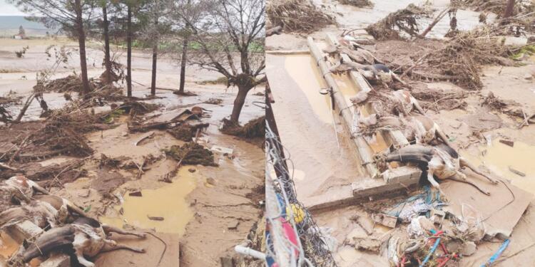 Toprak suya mı kavuştu?