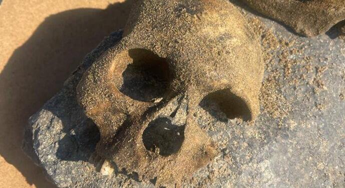 Zilan’dan çıkan kemikler ATK’ye gönderildi