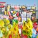 Gezi ve Kobanê Kardeşliği