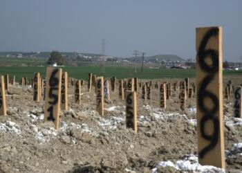 Hatay’da sadece bir mezarlığa 5 bin yurttaş defnedildi
