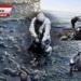 Batman Çayı ve Dicle Nehri petrolle zehirlendi