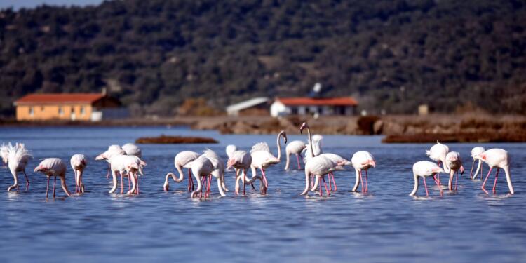 Yağmada ısrar sürüyor