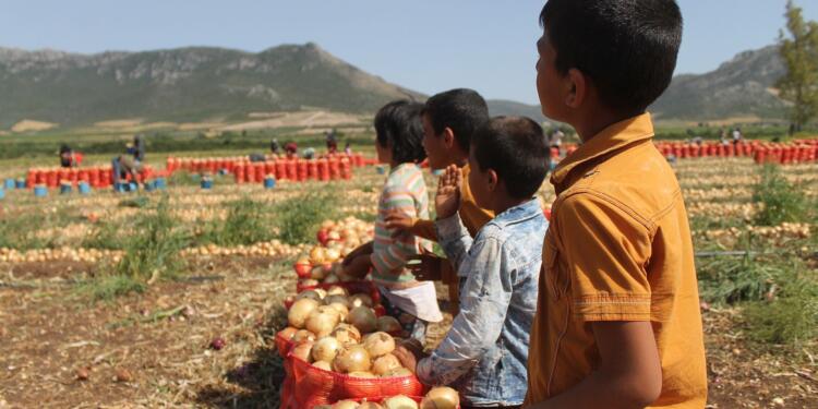 Türkiye’de en az 2,6 milyon çocuk ‘işçi’