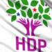 HDP Süleymaniye Havalimanı’na saldırıyı kınadı