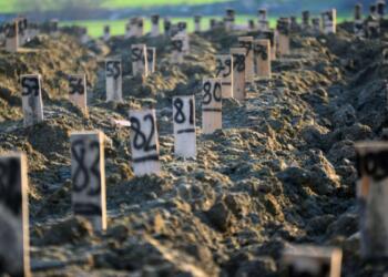 Depremde hayatını kaybedenlerin sayısı 50 bin 500’e çıktı