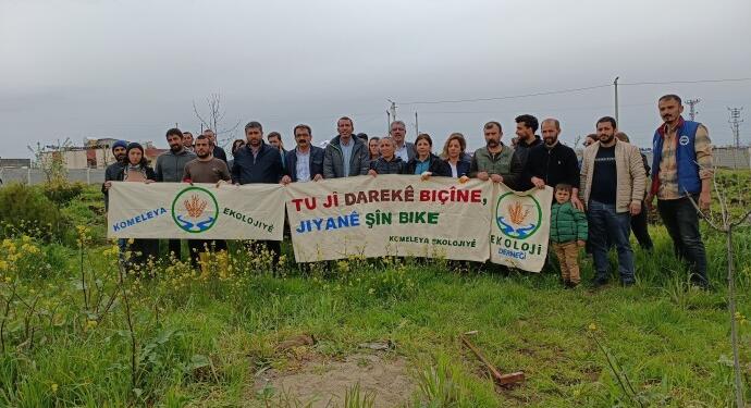 Mezopotamya Ekoloji Hareketi depremde yaşamını yitirenler anısına fidan dikti