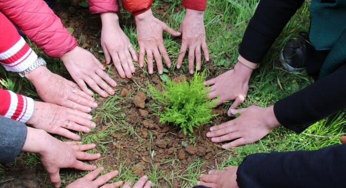 İstanbul’da 4 Nisan fidanları dikildi