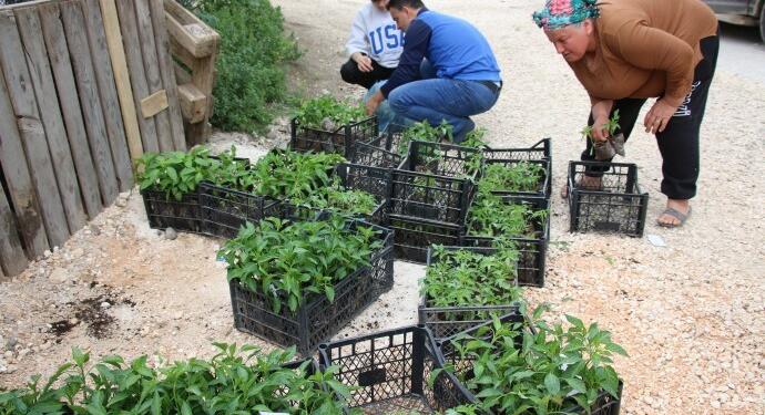 Hatay’da çiftçiler için ‘Askıda Fide’ kampanyası