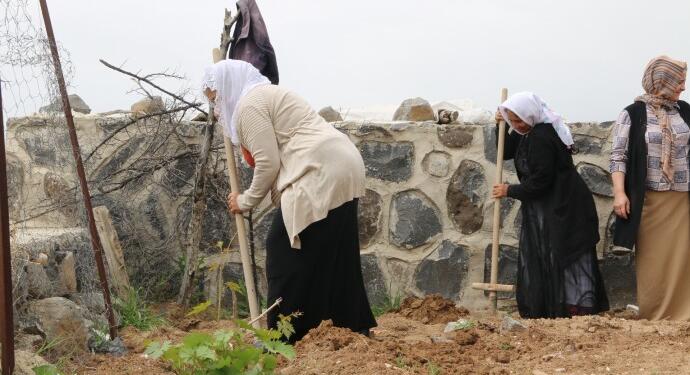 Şırnex’te ‘özgürlük’ fidanları dikildi