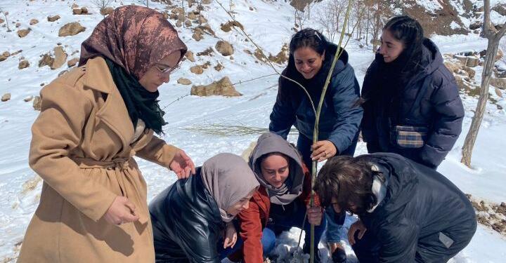 Bazîd’de Abdullah Öcalan için fidan dikildi