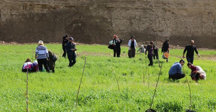 Kadınlar ‘Yeni doğuş kutlu olsun’ diyerek fidan dikti