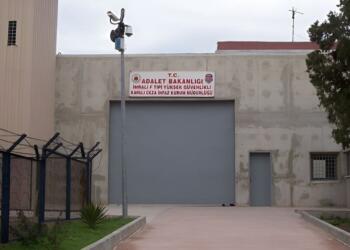 Tecride Karşı Uluslararası Delegasyon üyesi Frieding: AB gerekeni yapmalı