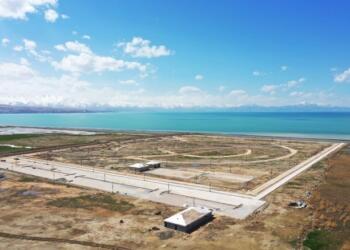 ‘Sahil Yolu’ projesiyle kuş türlerinin yaşamı tehlikeye atılıyor