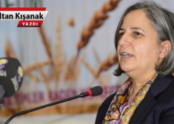 Bir sosyalist olarak…