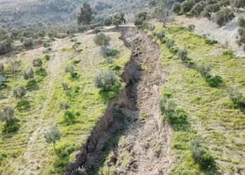 Depremler tarımsal üretimin yüzde 20’sinden fazlasını zarara uğrattı