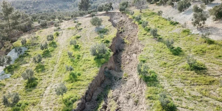 Depremler tarımsal üretimin yüzde 20’sinden fazlasını zarara uğrattı
